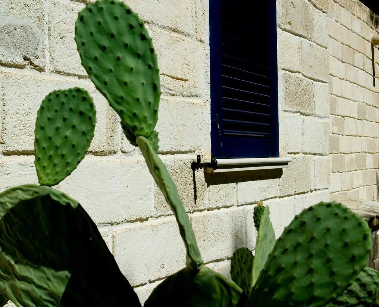 Apartahotel Miramare Residence Favignana